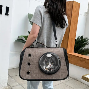 Transparent Foldable Cat Backpack: The Ultimate Portable Pet Carrier for On-the-Go Adventures!